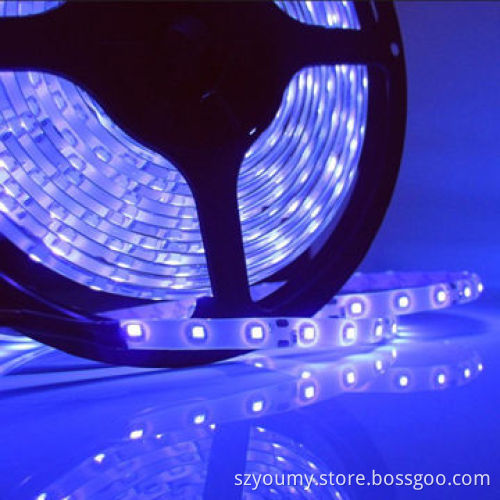 Professional Manufacturer SMD 3528 60 LEDs/m IP65 Purple LED Flexible Strips